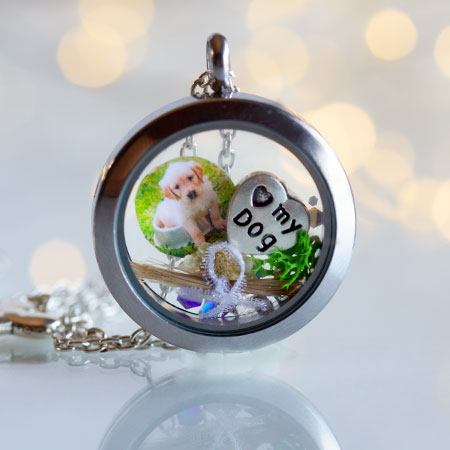 collar flotante locket pet lovers gift mascota regalo fotografía medallón