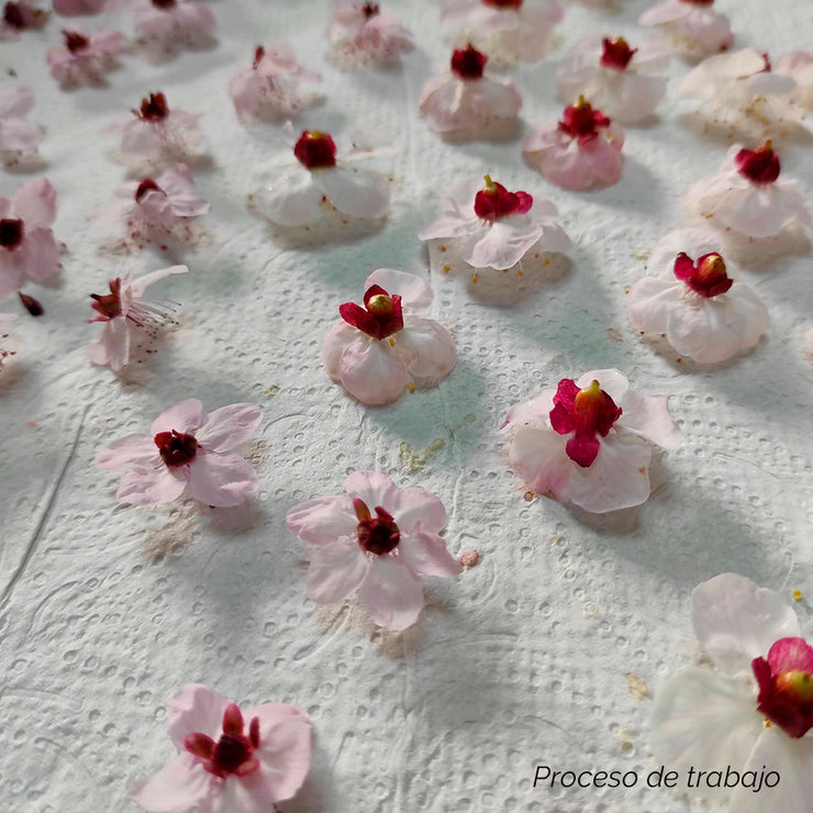 Colgante Sakura mini Zensen ™ - Neraidas joyas
