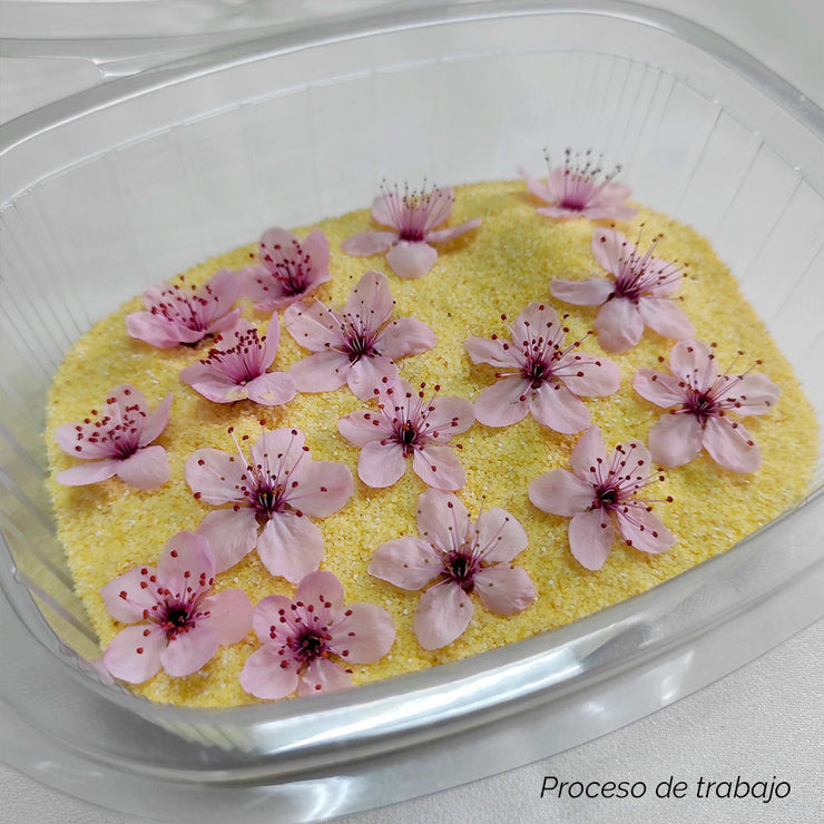 Colgante Sakura mini Zensen ™ - Neraidas joyas